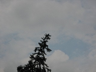 B46DC1C0-0EC0-4508-A7C6-856BA000883D/L0/001