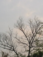 104316