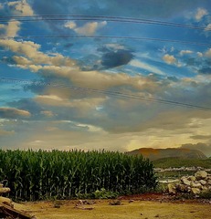 05758B41-FA41-42CB-8F2E-F5365C608EBD/L0/001