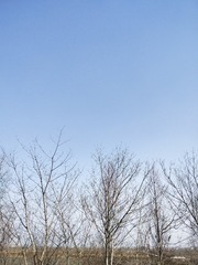 798379