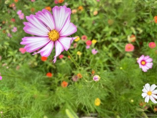 EEAE0600-1991-4DF7-8147-AF4BFCDBB197/L0/001