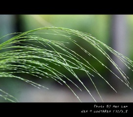 DSC02463_SMALL