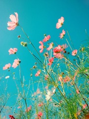 CB75B0BA-7B0B-45F1-8956-6EFF39E08D5E/L0/001