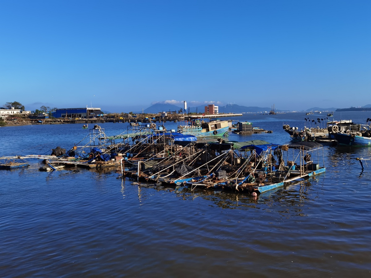 湛江阳西小码头. - 飞行军 - 图虫