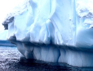 IMG_7767.JPG