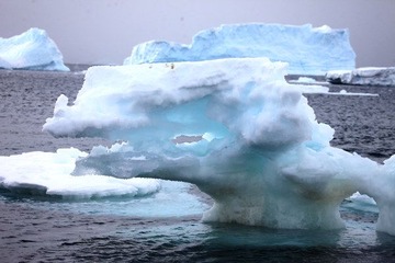 IMG_7641.JPG