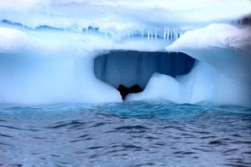 IMG_7769.JPG
