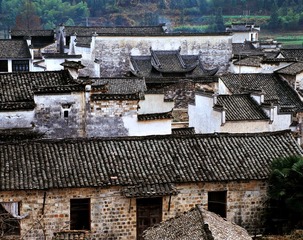 3001-24.jpg