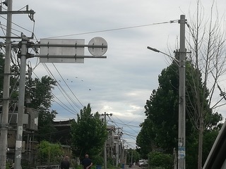 253242