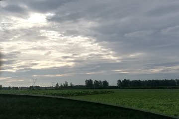 253237