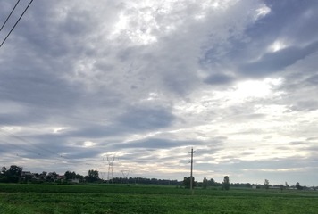 253239