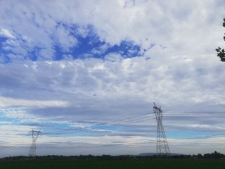 253310