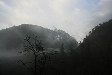IMG_7253.JPG