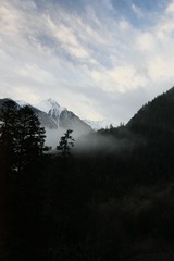 IMG_7217.JPG