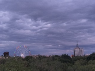 80416