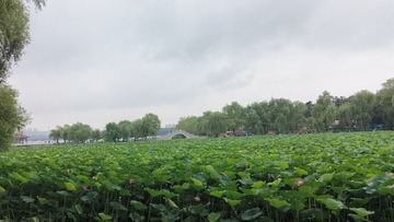 1000026363