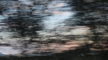 1000022041