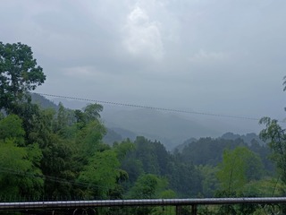 461564