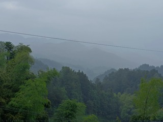 461565