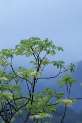 2EA20F65-B702-496A-8EC4-3376EC8BC523/L0/001