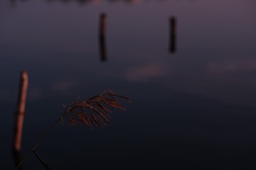 C9138BEC-515D-4742-8AC1-1A49B6A2BC1D/L0/001