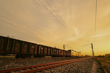 1000087566