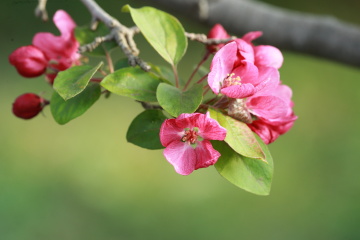 BA5W4657