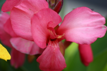 BA5W1695
