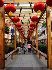DSC_0427.jpg