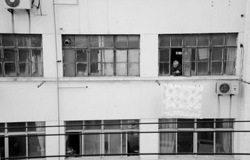DSC_0530.jpg