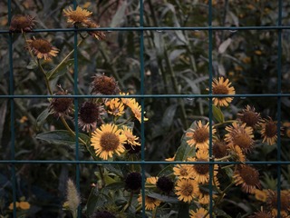 876810FE-44C9-4E25-A7B8-8CAC27FF5477/L0/001