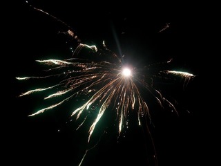 264524