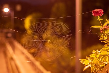 D88724AB-2BF0-49C0-A9B6-DA412B5BB8F7/L0/001