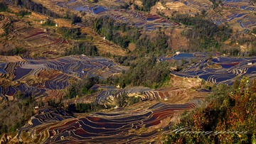 DSC06982_conew1