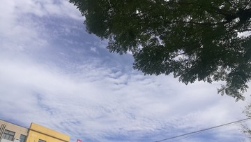 942255
