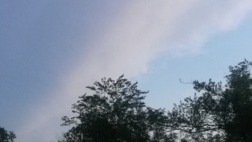 959073