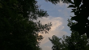 942281