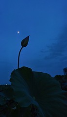 8C2AE6BC-4F0D-4F57-8DD3-60B06495CEDB/L0/001