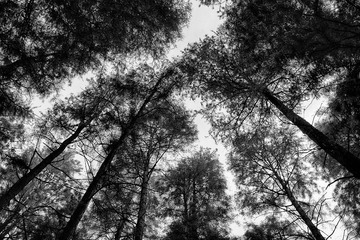 _DSF1960_HDR