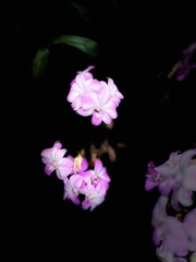 3EEEBFED-6A84-4A2C-8BF8-F38D5005A427/L0/001