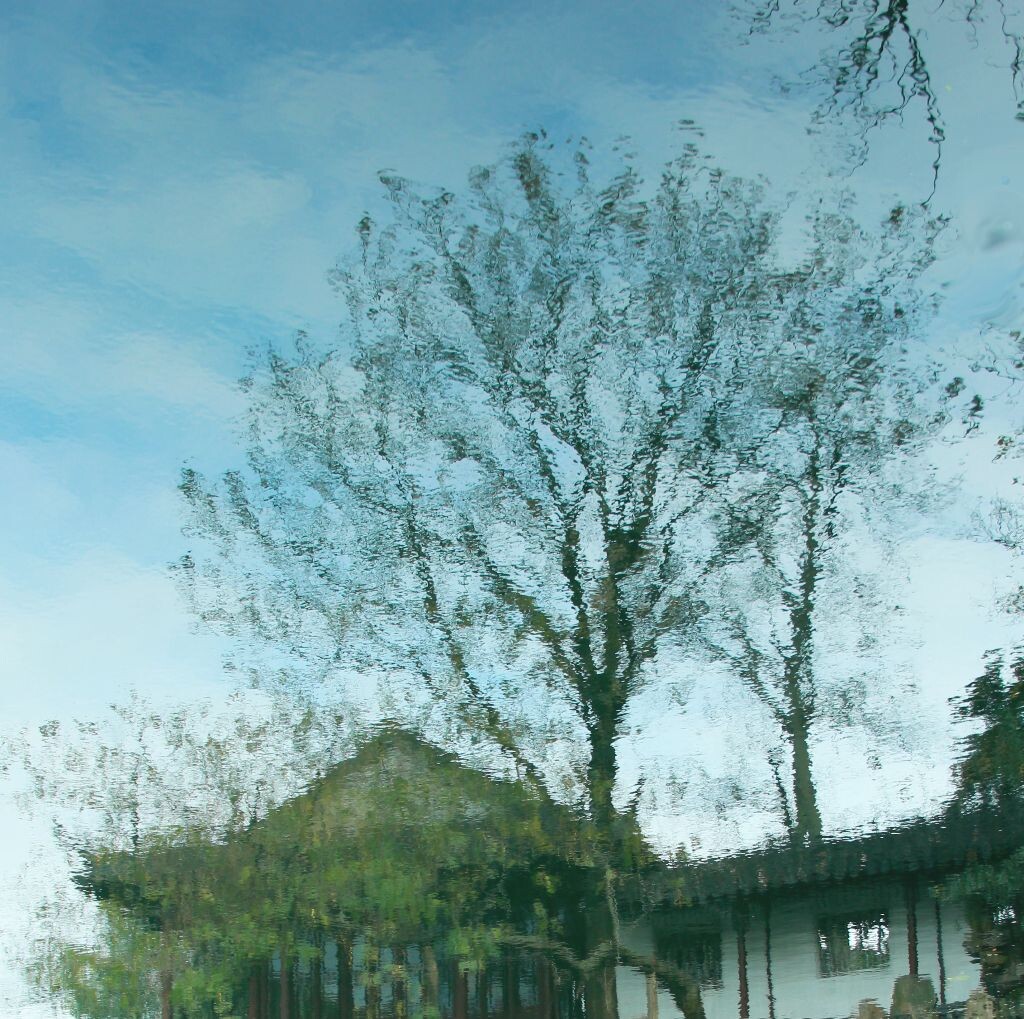 沧浪之水清兮<br />
苏州沧浪亭外有一汪水面，自宋代一直映照这沧浪亭。“沧浪之水清兮，可以濯我衣。”
