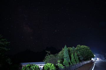 C08A4571.JPG