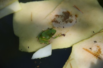 C08A4021.JPG