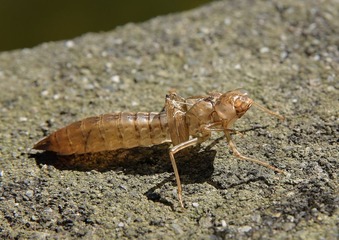 C08A4030副本.jpg