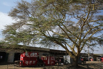 C08A5180.JPG