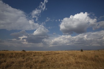 C08A5419.JPG