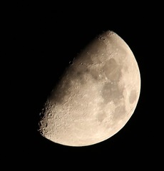 C08A6250.JPG