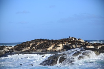 C08A6976.JPG