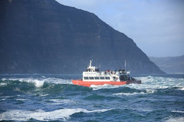C08A6987.JPG