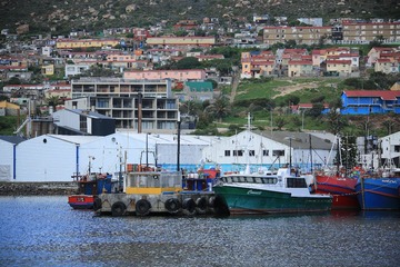 C08A7049.JPG